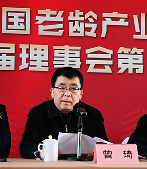 曾琦会长在第二届理事会第二次会议上的总结讲话